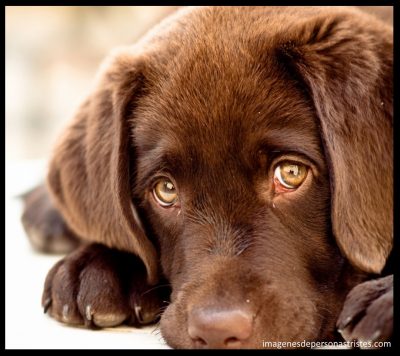 imagenes tristes y bonitas