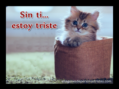 imagenes tristes y bonitas de animales